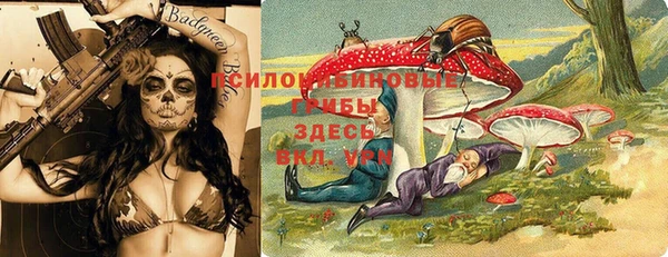 ГАЛЛЮЦИНОГЕННЫЕ ГРИБЫ Белоозёрский