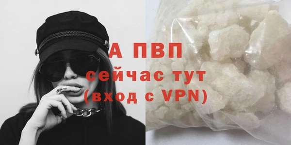 таблы Белокуриха