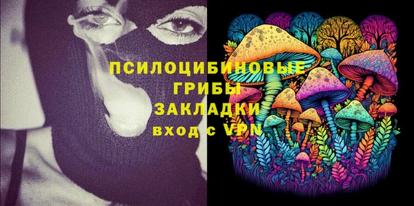 таблы Белокуриха
