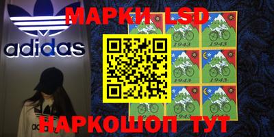 хмурый Бийск