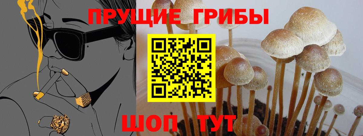 Галлюциногенные грибы Magic Shrooms Гулькевичи