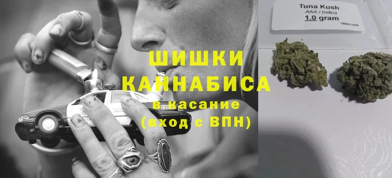 Канабис индика  Гулькевичи 